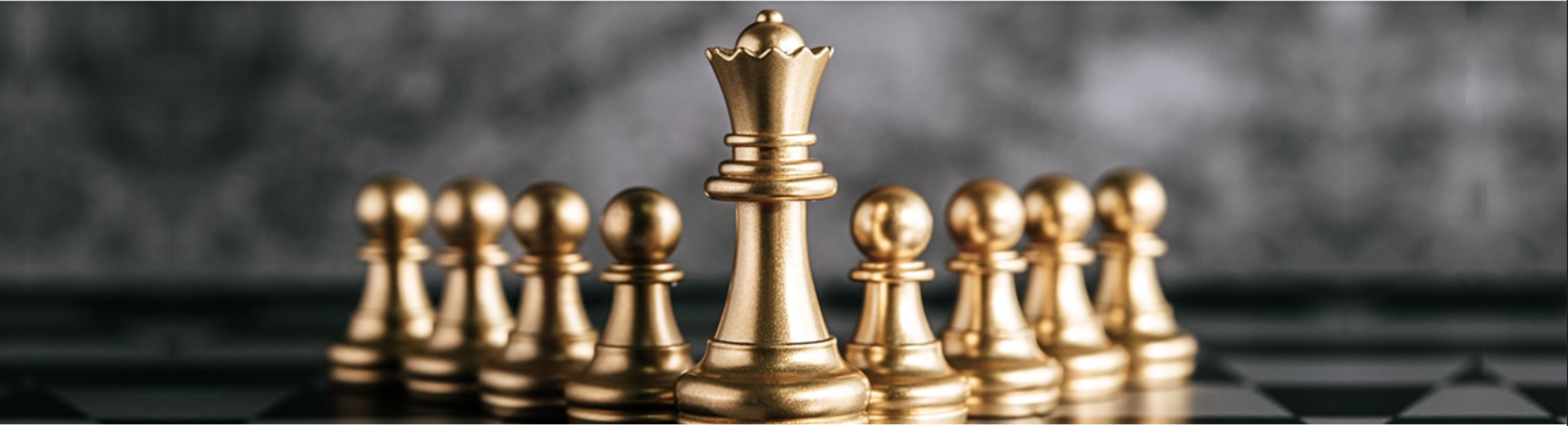 Leadership chess visual